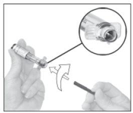 Insert the plunger rod into the back end of the syringe barrel and turn clockwise 2 to 3 times to attach.